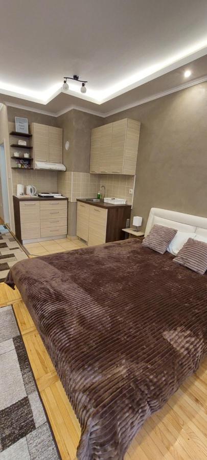 Apartman Studio Niki Subotica Extérieur photo
